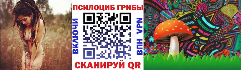 Псилоцибиновые грибы Magic Shrooms  Куровское 